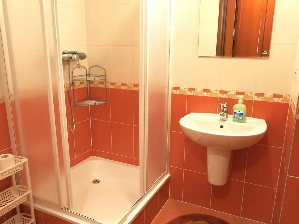 Apartment-Studio With Terrace Jatecni Karlovy Vary Czech Republic