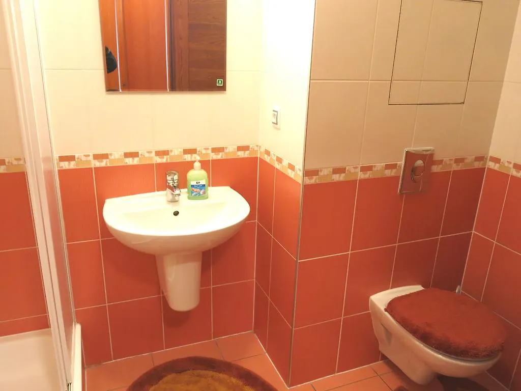 Apartment Apartment-Studio With Terrace Jatecni Karlovy Vary